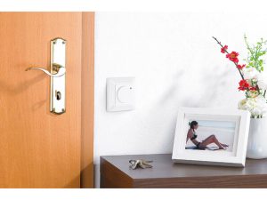 cong-tat-vi-song-vuong-am-tuong-RS06C